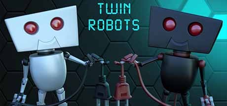 Twin Robots